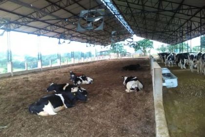 Terraplanagem Composto